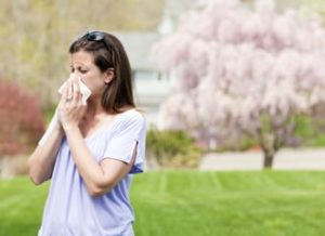 Seasonal or Chronic Allergies | Summit Healthcare | Snowflake, AZ