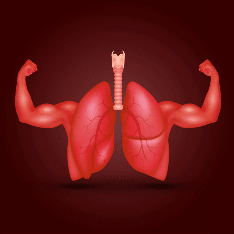 Illustration of healthy heart with strong arms in Show Low, AZ